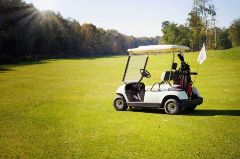 Golf Cart Battery